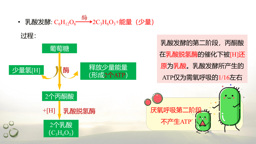 3.4.2 厌氧呼吸及细胞呼吸是细胞代谢的核心  课件(共21张PPT） 2023-2024学年高一生物 浙教版（2019） 必修一