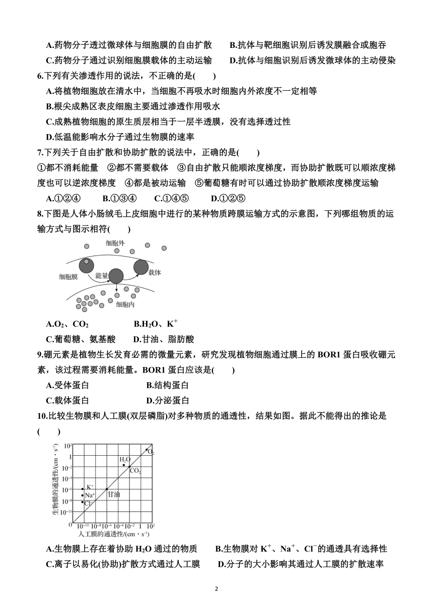 第四章　细胞的物质输入和输出（综合测试卷）（附答案）—2023-2024学年人教版(2019）生物高一上学期必修1