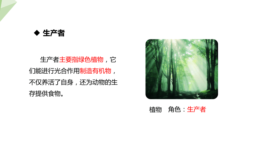 7.19.1 生态系统的组成 课件 (共23张PPT)2023-2024学年初中生物苏教版八年级上册