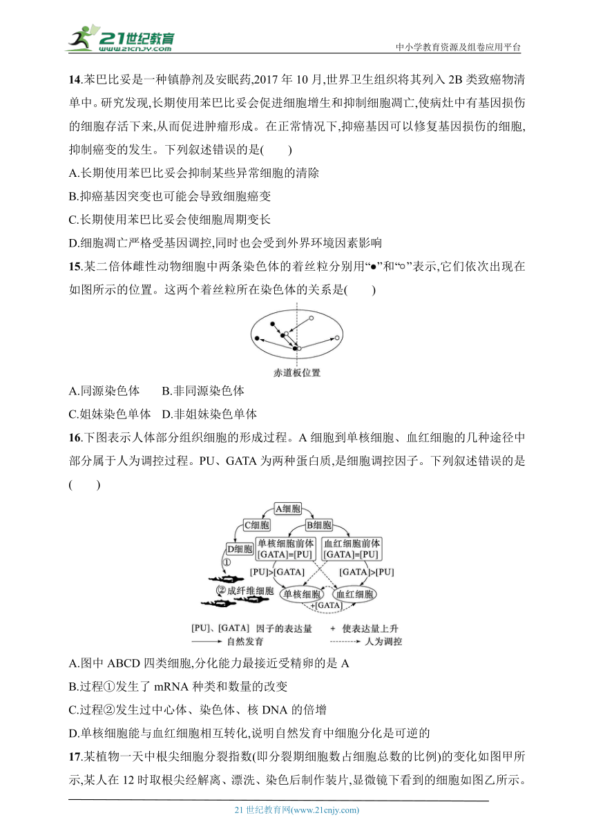 2025浙科版新教材生物学高考第一轮基础练--单元检测3　细胞的生命历程（含解析）