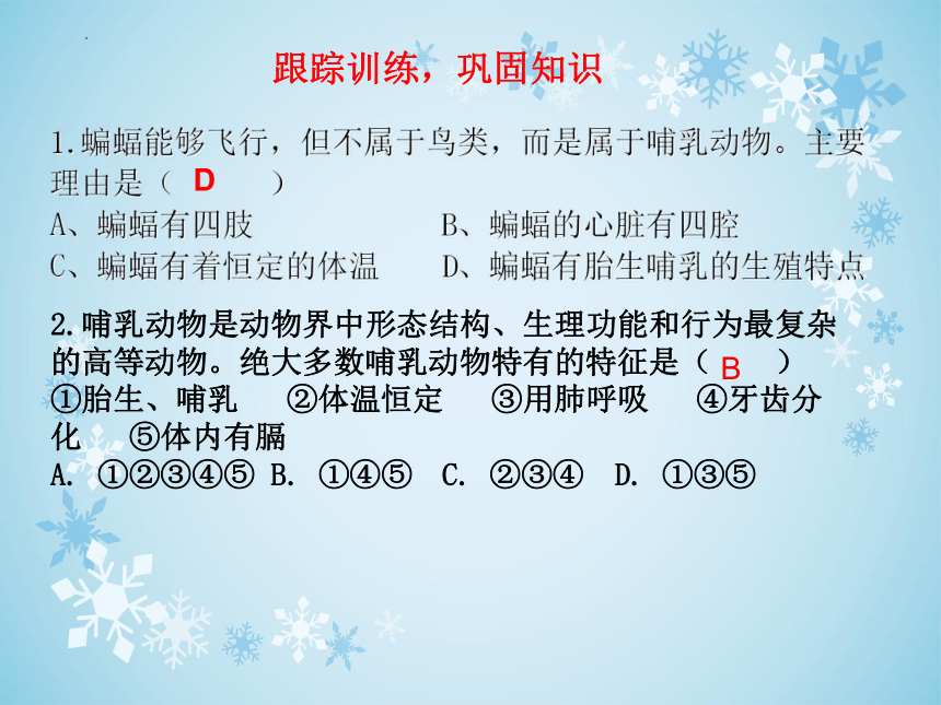 2.2.2脊椎动物的主要类群（第三课时）哺乳类动物课件(共15张PPT)2023--2024学年济南版生物七年级上册