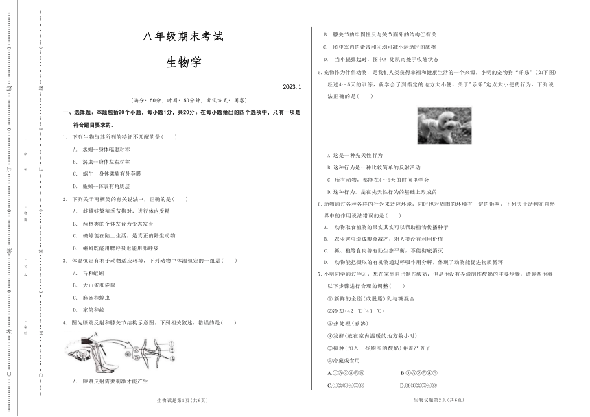 河南省濮阳市卫都实验学校2022-2023学年八年级上学期期末生物试题（Word版无答案）