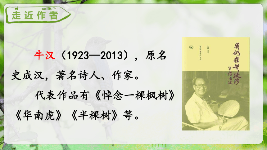 23.《父亲、树林和鸟》第一课时课件（共37张PPT）