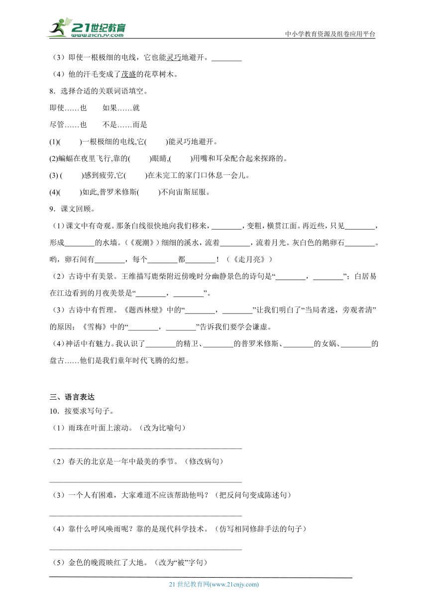 统编版语文四年级上册期中综合自检卷（二）（含答案）