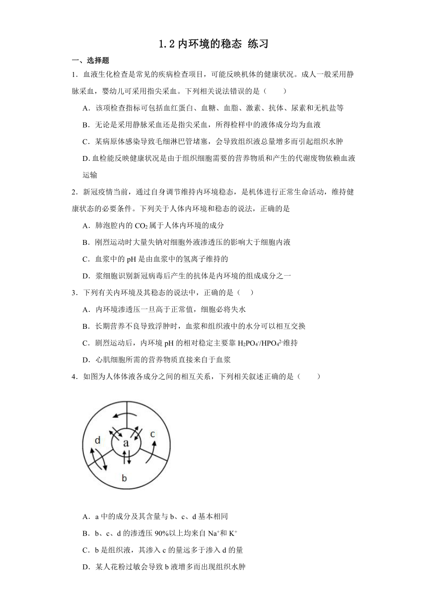 1.2内环境的稳态 练习（解析版）