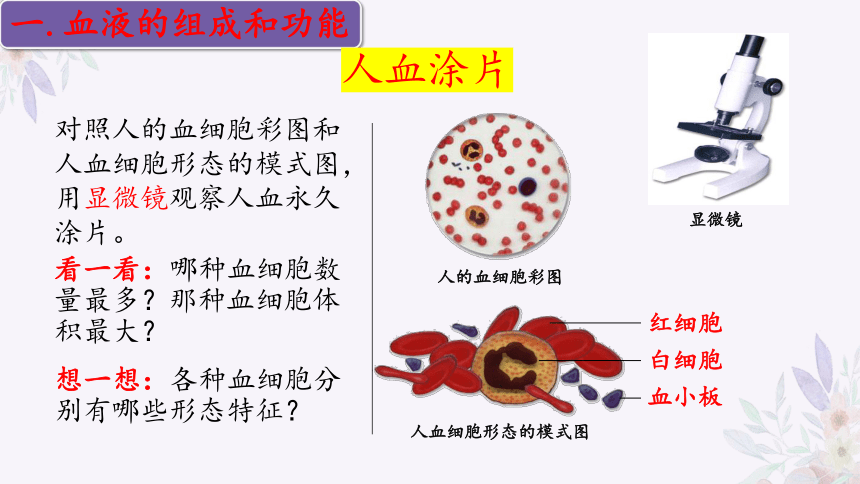 4.10.1血液和血型（第一课时）课件(共32张PPT)苏教版七年级生物下册