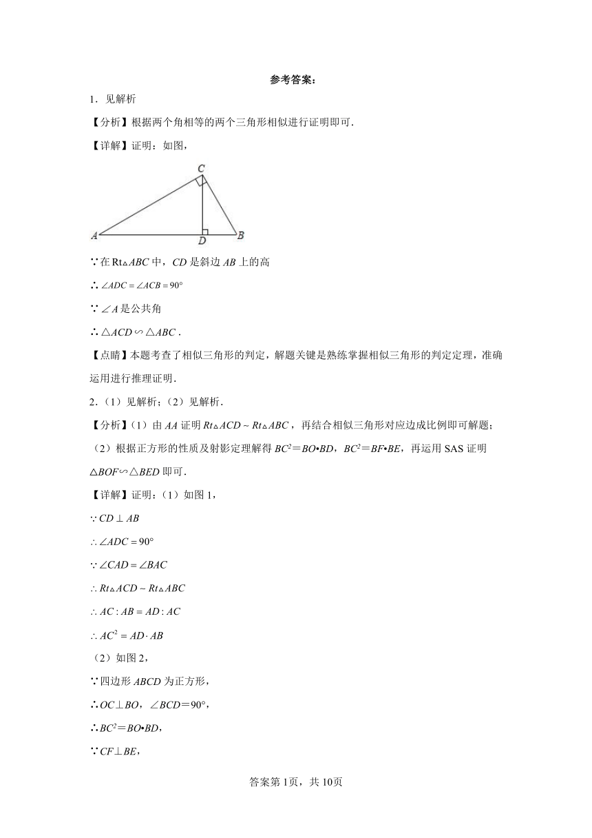 专题27.36相似三角形几何模型-双垂线等角 知识讲解（含解析）2023-2024学年九年级数学下册人教版专项讲练