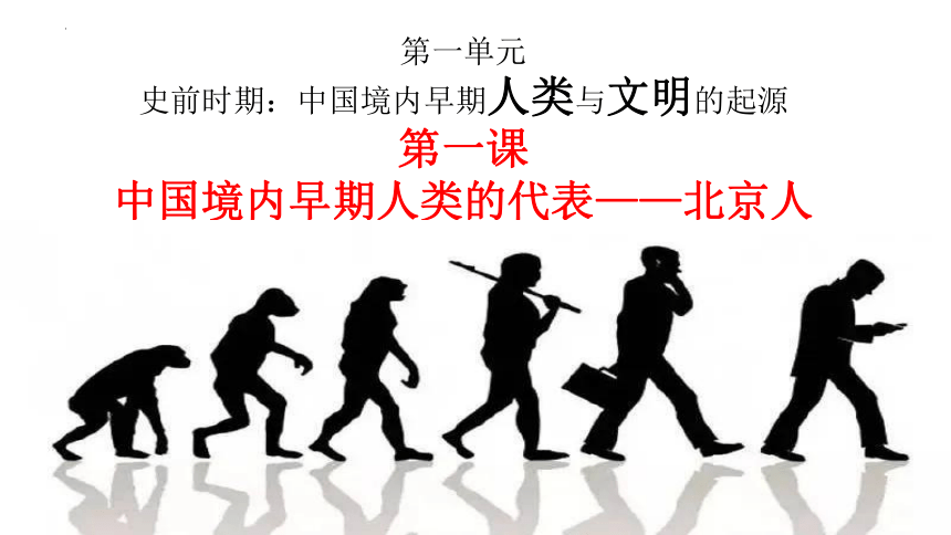 第1课 中国境内早期人类的代表——北京人  课件（20张PPT）