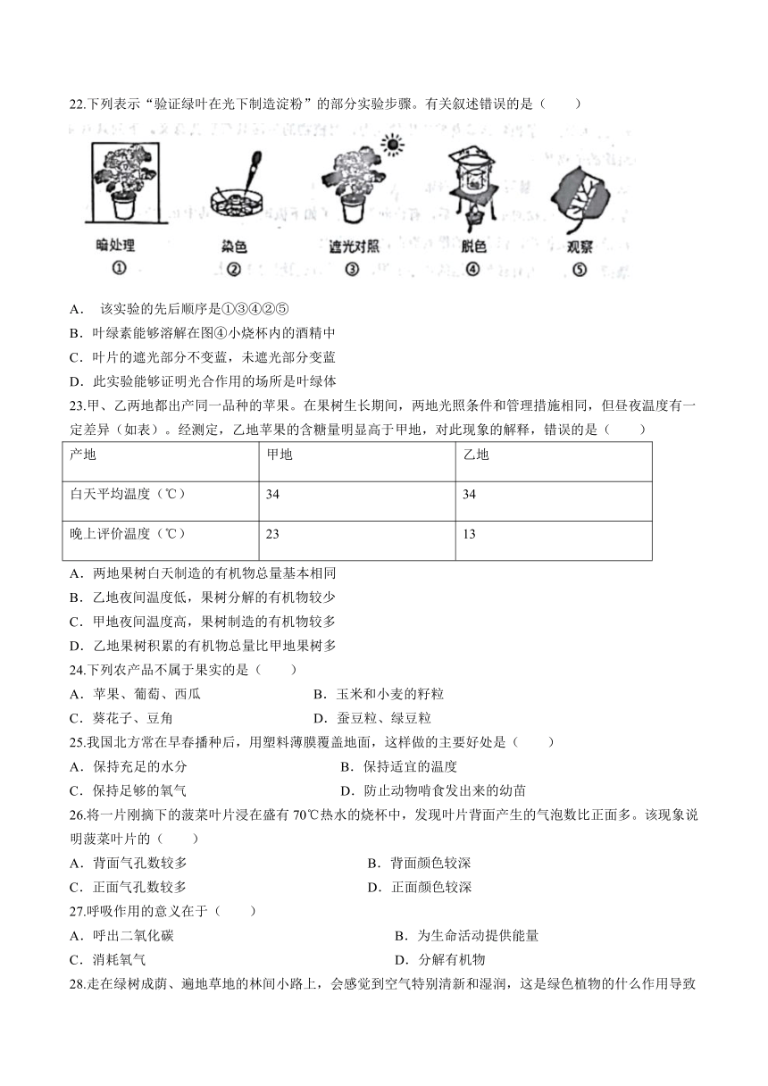 山东省威海市威海经济技术开发区2022-2023学年六年级下学期期末生物试题（含答案）