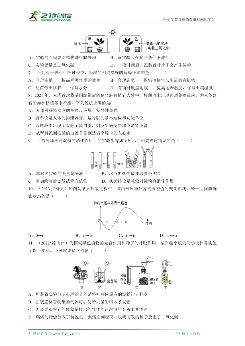 2024中考科学冲刺之生物的物质和能量专题（含答案）