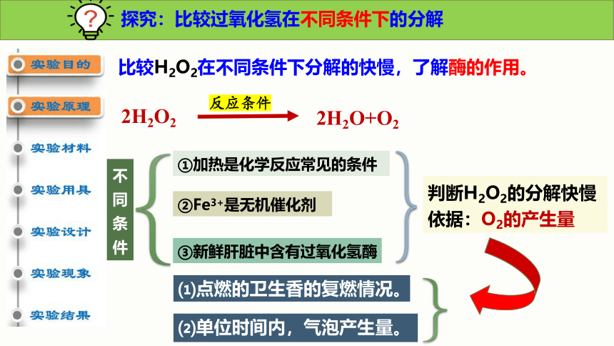 5.1 降低化学反应活化能的酶（第一课时）课件(共22张PPT)-人教版2019必修1