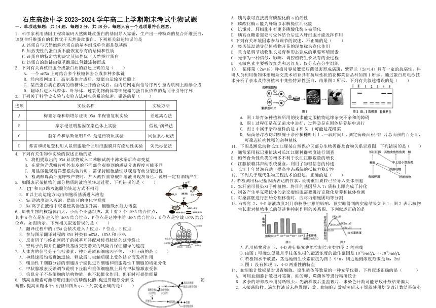 江苏省南通市如皋市石庄高级中学2023-2024学年高二上学期期末考试生物学试题（含答案）