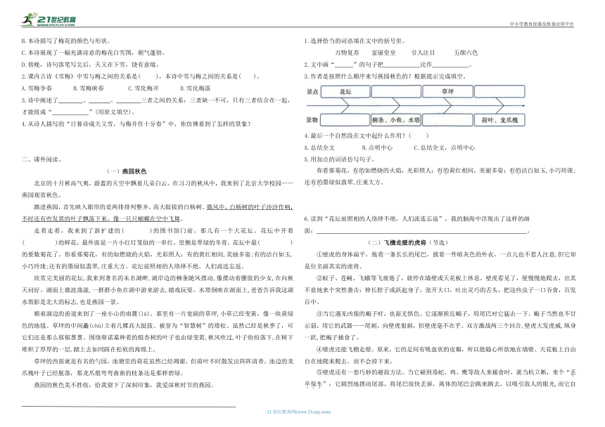 统编版四年级上册语文期中专项复习——阅读理解（含答案）