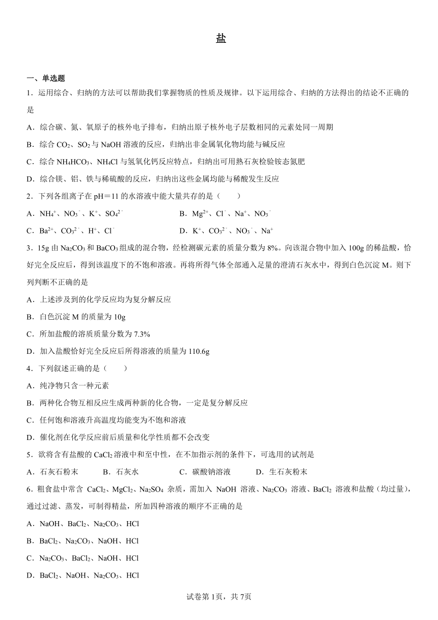 第12章 盐 检测题(含解析)2023-2024学年九年级化学京改版（2013）下册