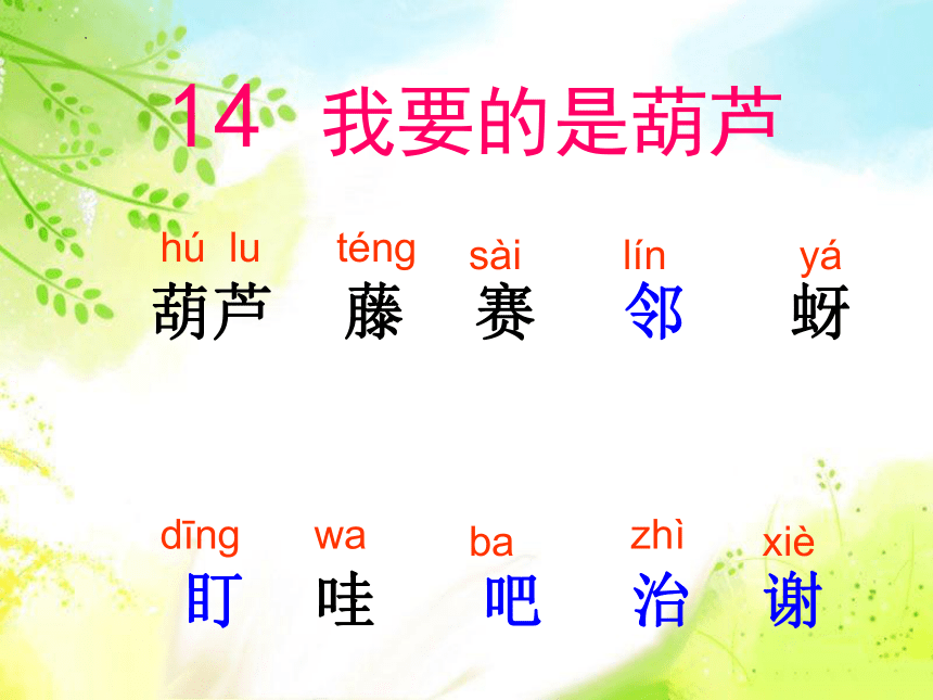 14 我要的是葫芦 课件(共20张PPT)