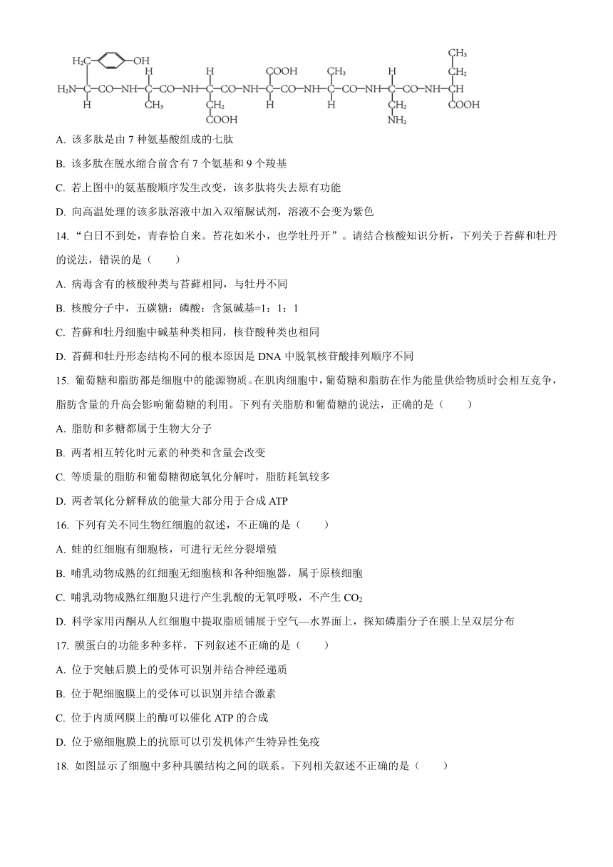 黑龙江省哈尔滨市第九中学校2023-2024学年高三上学期开学考试生物学试题（原卷版+解析版）