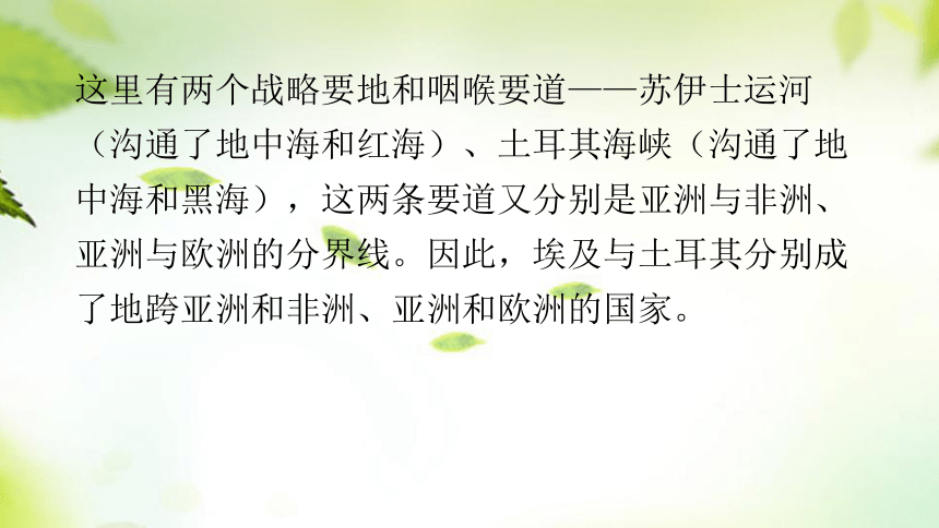 2024年中考地理总复习课件：专题七  东半球其他的地区和国家(共69张PPT)