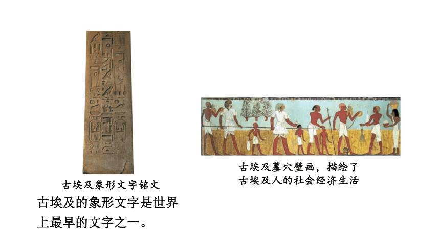 人教版九上历史第一单元 古代亚非文明  (2024成都中考复习课件)(共35张PPT)