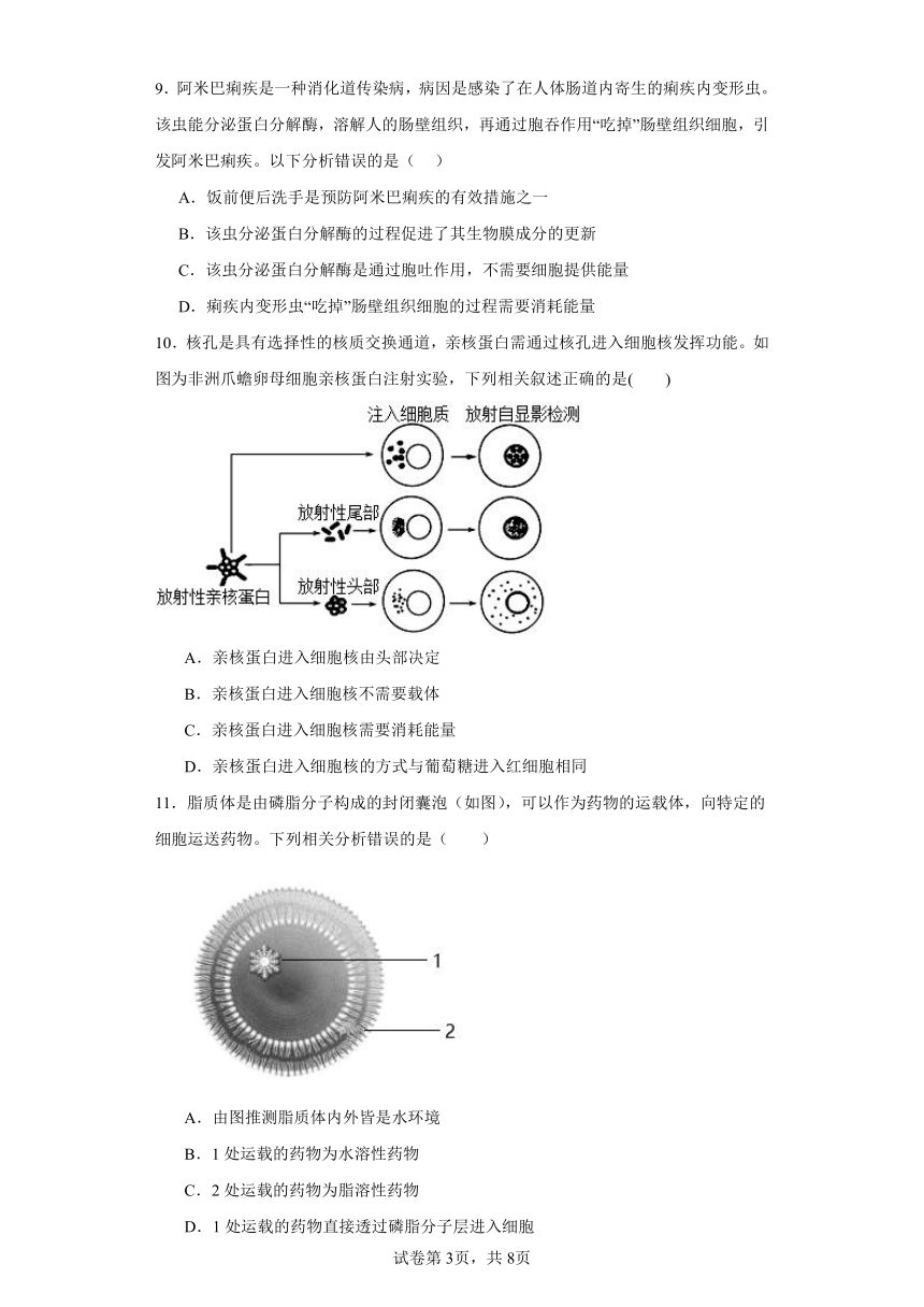 人教版高中生物必修一第4章第2节主动运输与胞吞、胞吐同步练习（含答案）