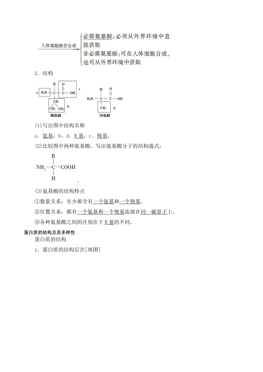 2.4蛋白质是生命活动的主要承担者学案（含答案）