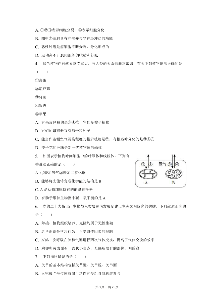 2022-2023学年山东省枣庄市台儿庄八年级（下）期末生物试卷（含解析）