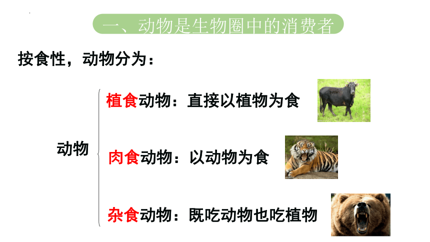 5.17.1 动物在生物圈中的作用课件 (共27张PPT)北师大版生物八年级上册
