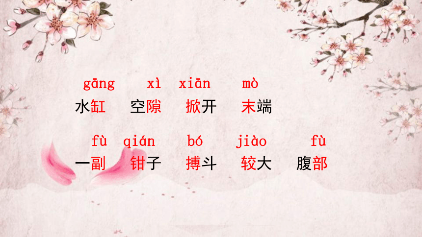 15小虾 课件(共23张PPT)