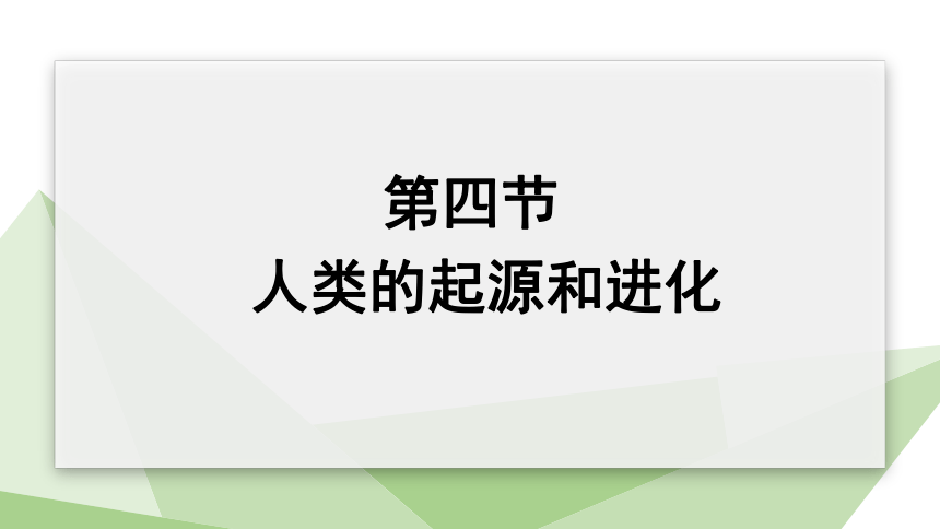 5.16.4 人类的起源和进化 课件(共21张PPT) 2023-2024学年初中生物苏教版八年级上册