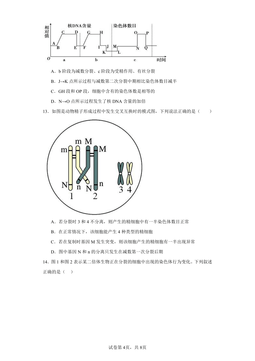 人教版高中生物必修2第2章第1节减数分裂和受精作用同步练习（含答案）