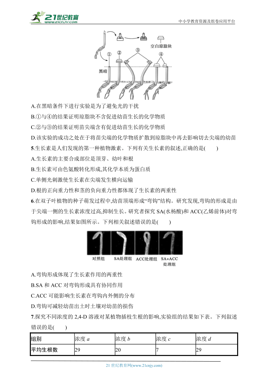 2025浙科版新教材生物学高考第一轮基础练--作业43　植物生长素的发现和作用（含解析）