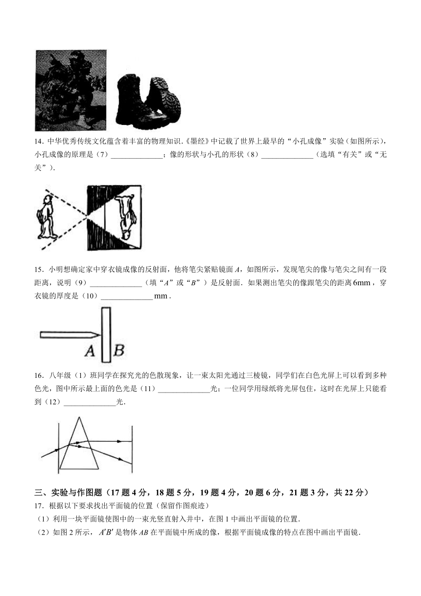 山东省金乡县2023-2024学年八年级上学期期中考试物理试题（含答案）