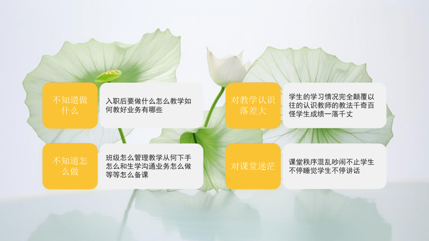 2023年新学期新教师专业素养知识学习交流 鞠躬尽瘁育桃李 课件 (21张PPT)