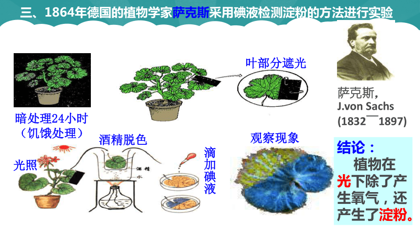 3.2 光合作用课件(共34张PPT)-2023-2024学年高一上学期生物苏教版（2019）必修1