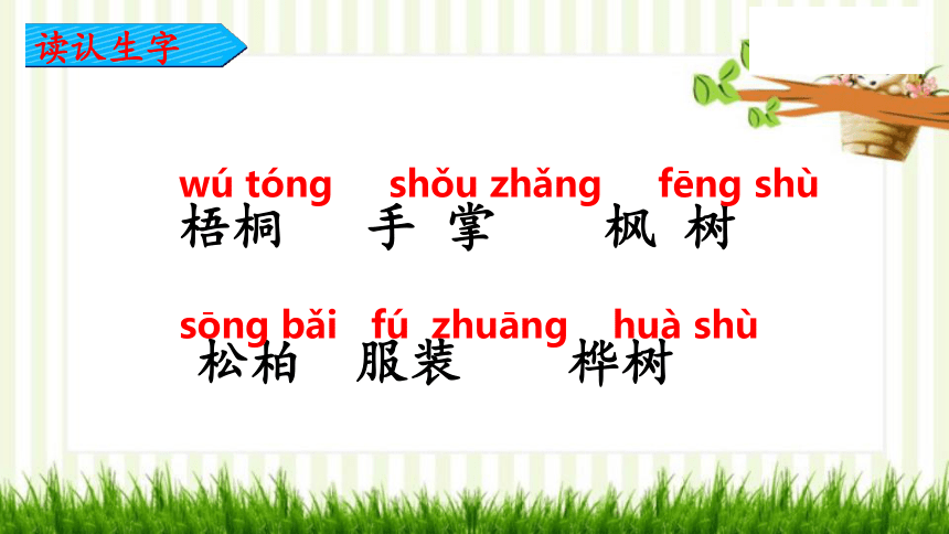 2 树之歌 课件(共23张PPT)