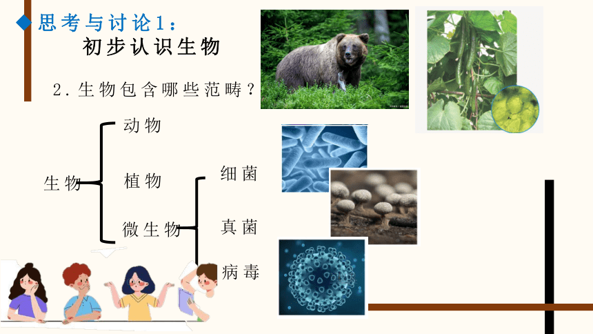 1.1.1生物与生物学课件(共24张PPT)2023年秋苏科版生物七年级上册