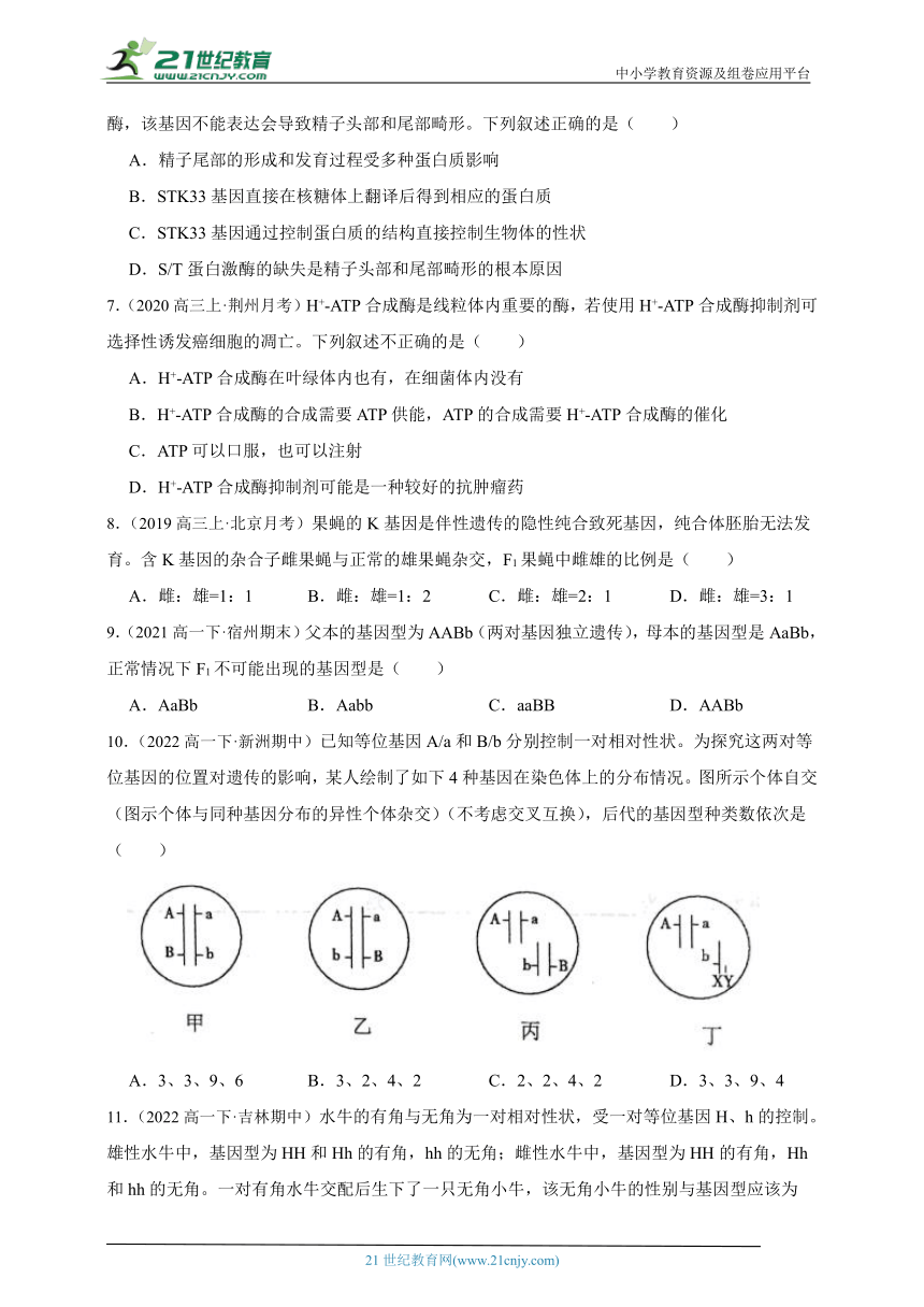 浙科版（2019）高中生物必修2遗传与进化期末测试题综合必刷题(含解析）