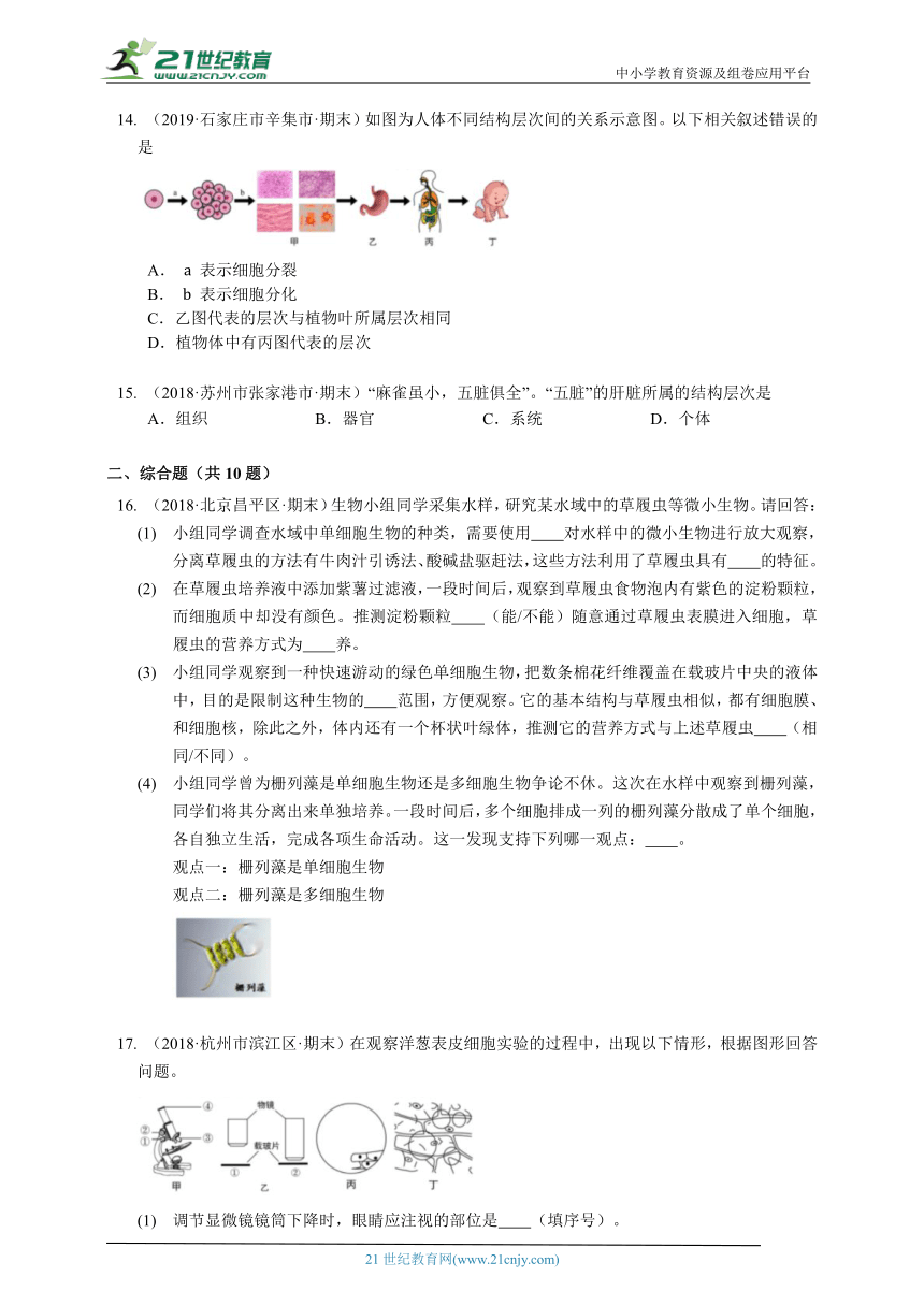 2023-2024学年初中生物济南版七年级上册1.2观察生物结构章节同步练习（答案+解析）