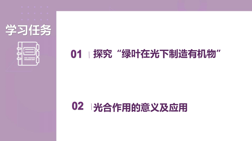 3.3.1 光合作用的产物-【探究课堂】2023-2024学年八年级生物上册同步教学课件（冀少版）(共24张PPT)