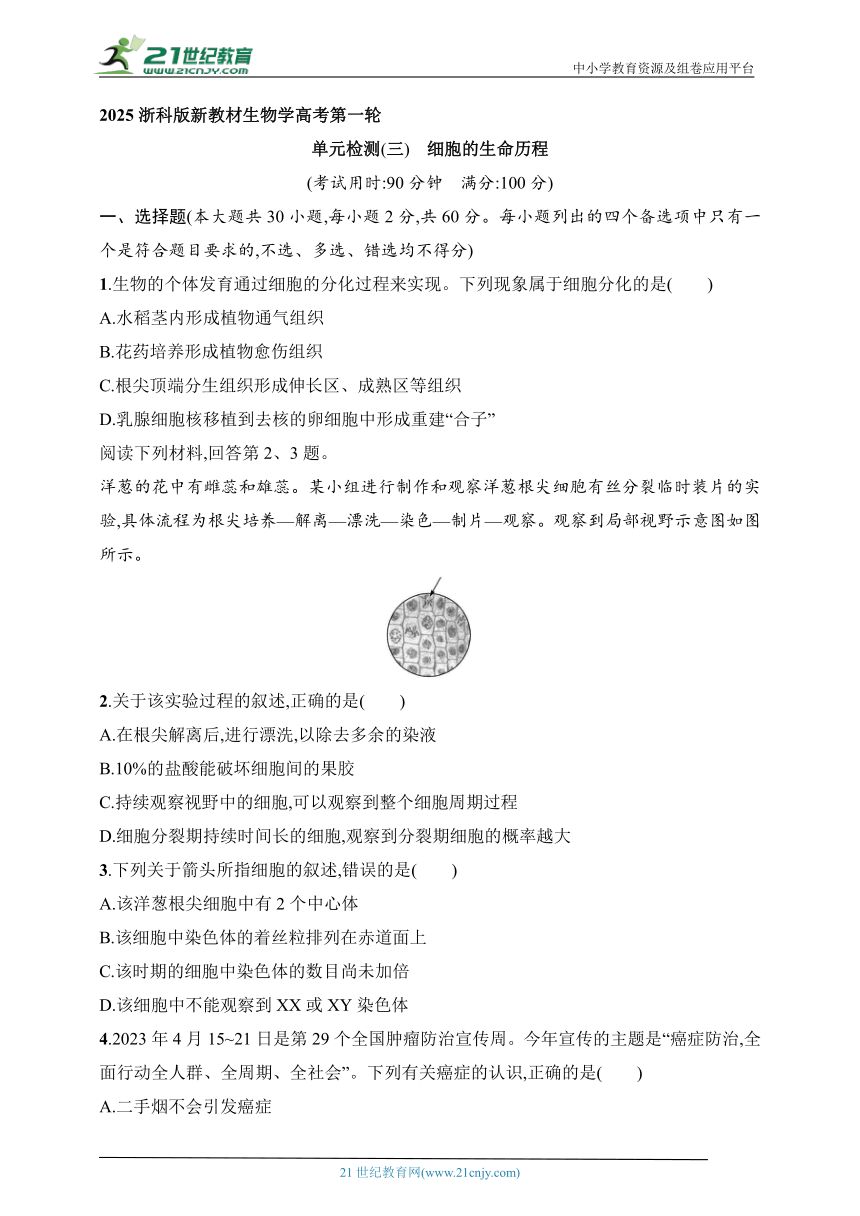 2025浙科版新教材生物学高考第一轮基础练--单元检测3　细胞的生命历程（含解析）