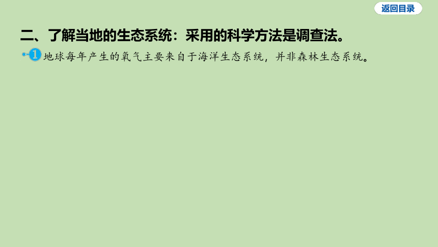 1.2.4 多种多样的生态系统习题课件(共19张PPT)2023-2024学年六年级生物课件鲁科版（五四学制）