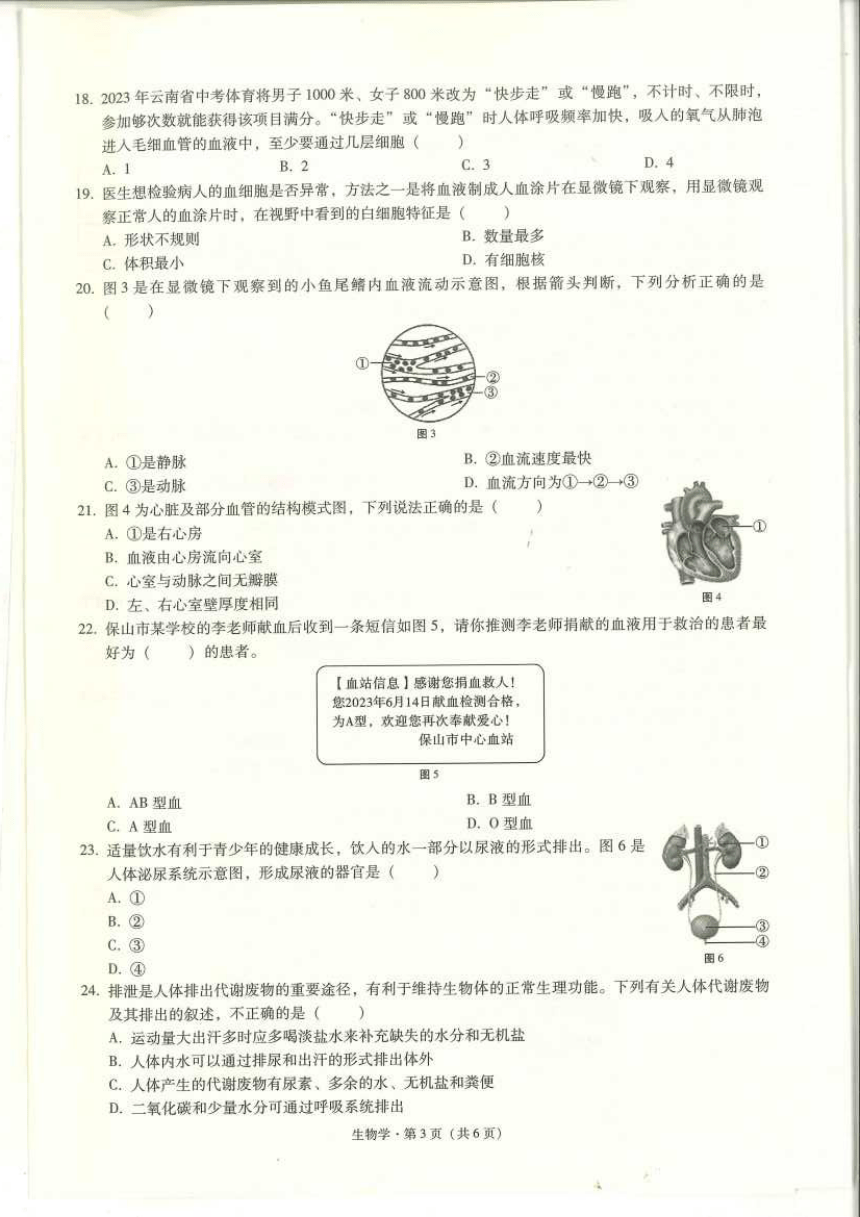 云南省保山市2022-2023学年七年级下学期期末考试生物试题（PDF版无答案）
