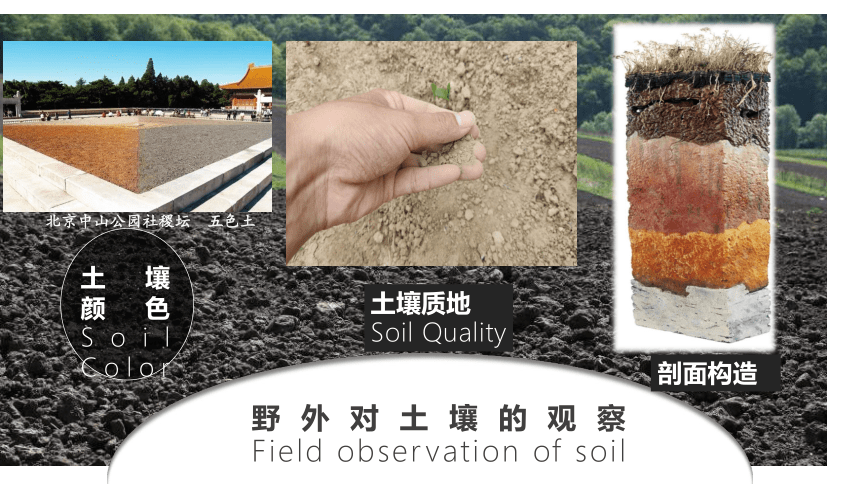 高中地理人教版（2019）必修一5.2土壤课件（共39张ppt）