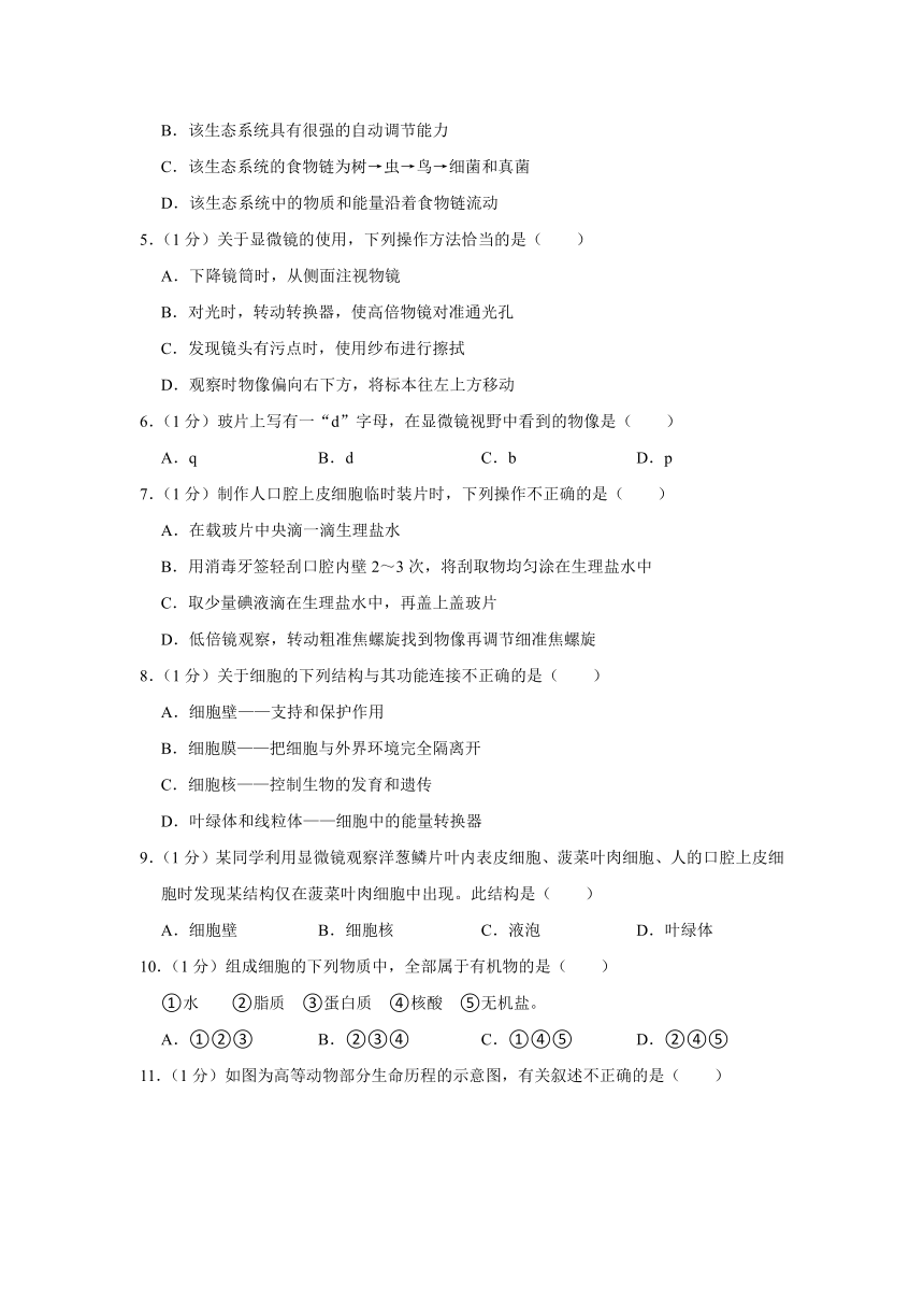 吉林省长春市农安县2023-2024学年七年级上学期期末生物试卷（含解析）