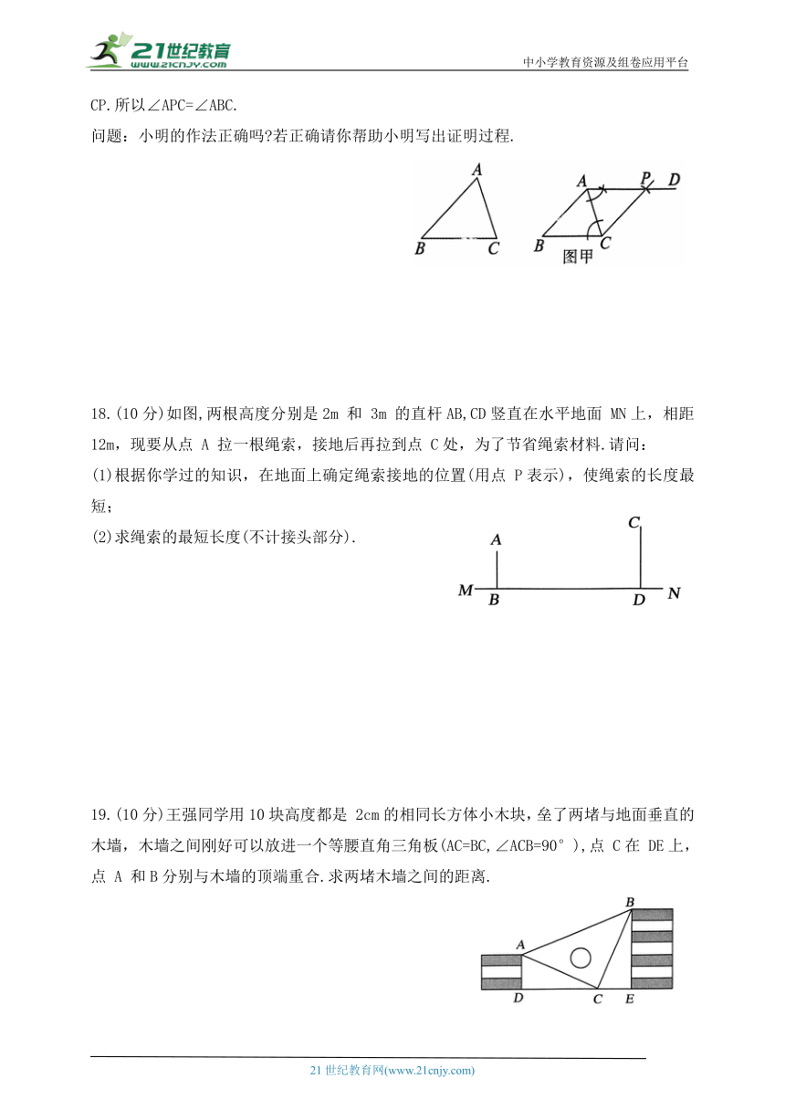 鲁教版七年级上册期中测试数学卷（含答案）