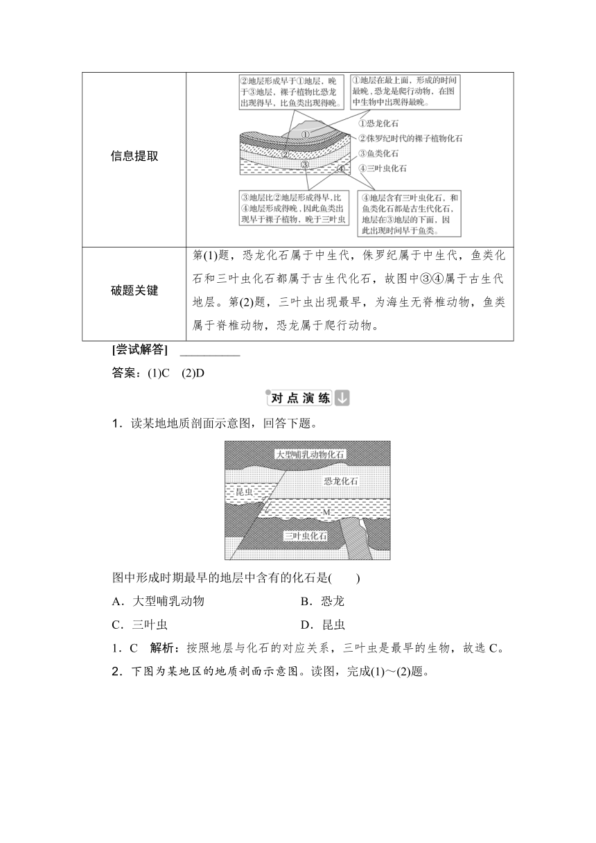 高中地理鲁教版（2019）选择性必修一第二单元 单元活动 学用地质简图学案（核心素养）