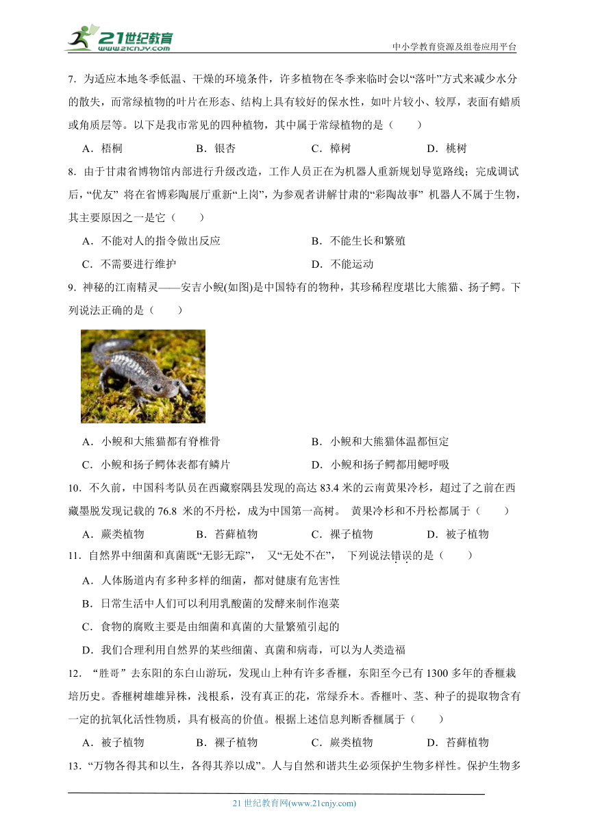 华师大版科学七年级期中练习卷2（含答案）