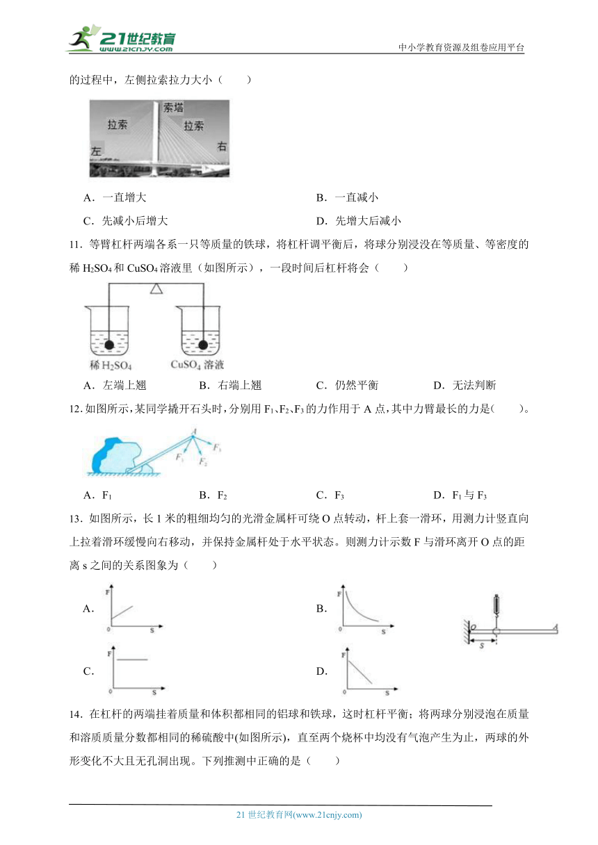 华师大版科学九上期末专题复习：杠杆（含答案）