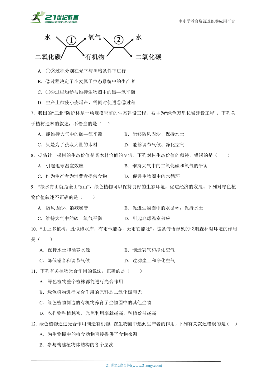 2023-2024学年初中生物济南版七年级上册期末复习专题10——绿色植物在生物圈的作用（答案 解析）