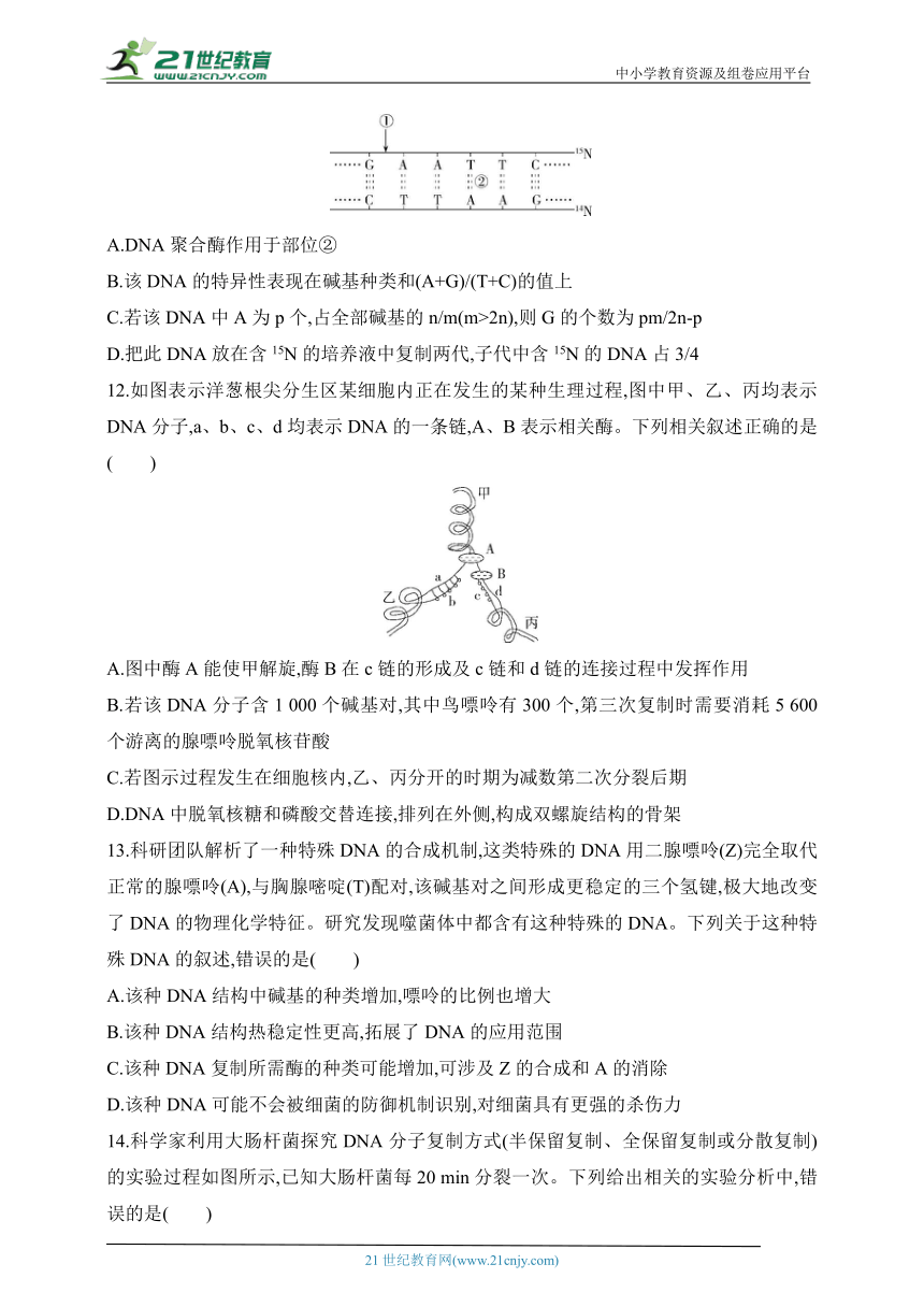 人教版2019高中生物必修二同步练习题--第3章　基因的本质（综合测试）（含解析）