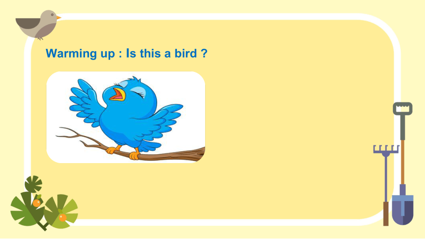 Lesson 7 Is it a bird? 课件(共22张PPT)